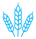 Wheat icon