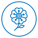 Wild rose icon