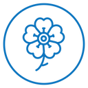 Wild rose icon