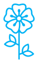 Wild rose icon