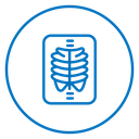 X ray 2 icon