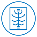 X ray icon