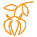 Ylang ylang icon