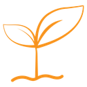 Young sprout icon