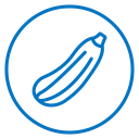 Zucchini icon