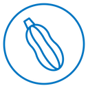 Zucchini icon