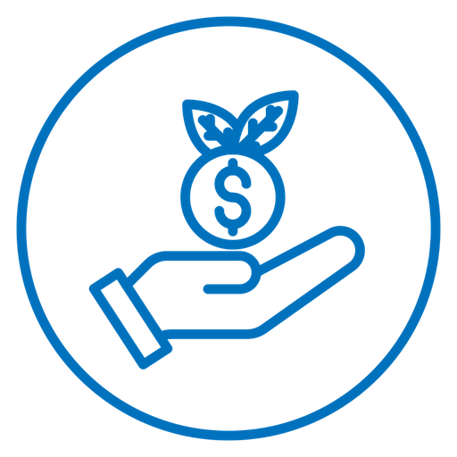 Advantage color outline icon