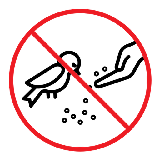 Do not feed birds sign color outline icon
