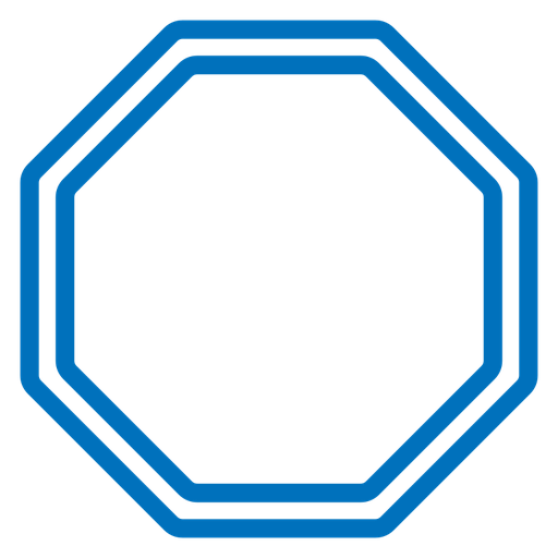 Octagon Double Border color outline icon