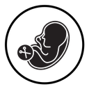 Abortion of fetus icon
