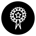 Achievement 2 icon