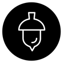 Acorn icon