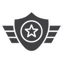 Air force icon