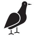 Albatross icon