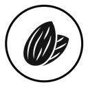 Almond icon