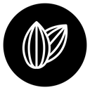 Almond icon