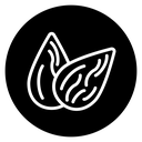 Almond 2 icon