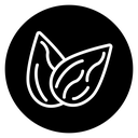 Almond icon