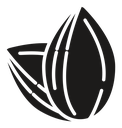 Almond icon