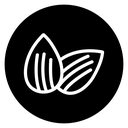 Almonds icon