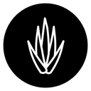 Aloe vera icon