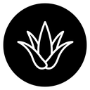 Aloe vera icon