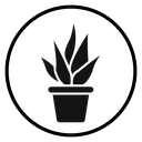 Aloe vera icon