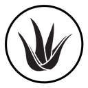 Aloe vera icon