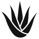 Aloe vera (2) icon