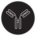 Antibody icon