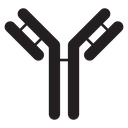 Antibody icon