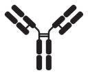 Antibody icon