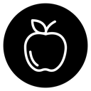 Apple 2 icon