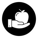 Apple in hand icon