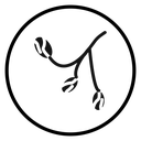 Arab date fruit icon