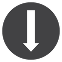 Arrow Down Black Filled icon