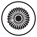 Ashoka Wheel icon