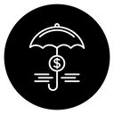 Assets protection 2 icon