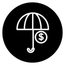 Assets protection icon