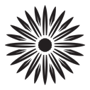 Aster icon