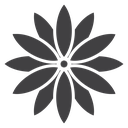 Aster icon