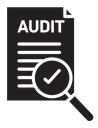 Audit icon