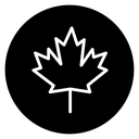 Autumn leaf canadian icon