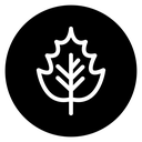 Autumn Leaf icon