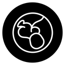 Baby in stomach icon