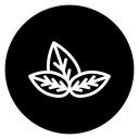 Basil icon