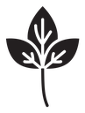 Basil icon