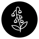 Bellflower Plant icon