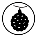 Bergamot icon