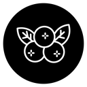 Berry Blossom Branch icon